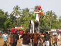 mangad-pooram-2011 (4)